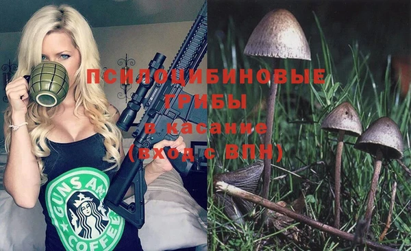 прущий лед Армянск