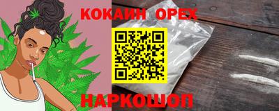 амф Камышлов