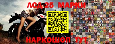 стафф Кандалакша
