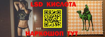 стафф Кандалакша