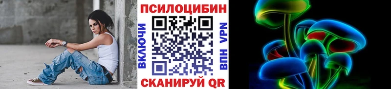 гидра ссылка  закладки  Лянтор  Псилоцибиновые грибы Psilocybe 