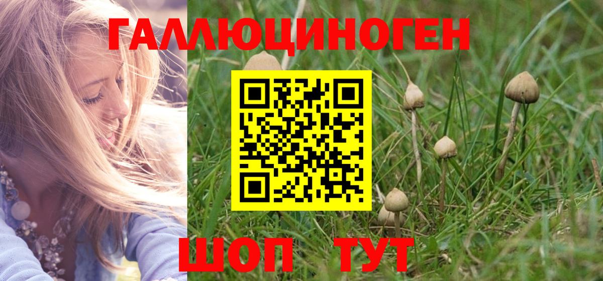 Псилоцибиновые грибы мицелий  Псилоцибиновые грибы MAGIC MUSHROOMS  Лянтор  Вход с VPN 