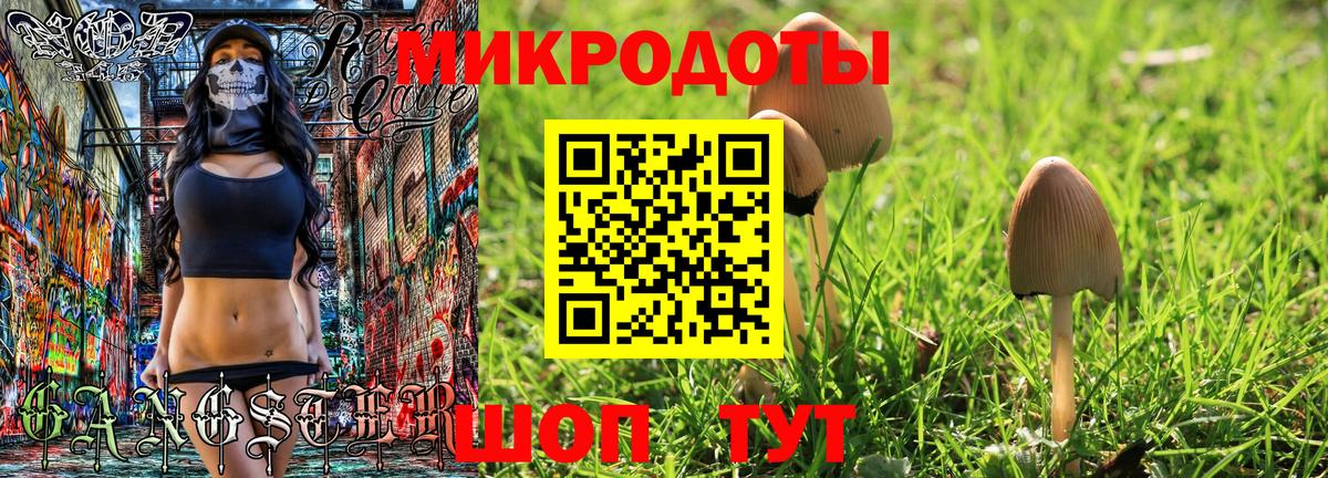 Галлюциногенные грибы Psilocybe Лянтор
